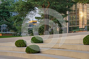 Reflection of the sun in the windows of the office building