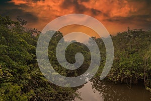 Reflection of a sunset by a lagoon inside the Amazon Rainforest Basin