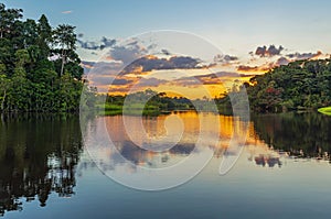 Sunset Reflection in the Amazon Rainforest photo