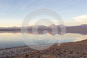 Reflection at sunset in laguna Chaxa