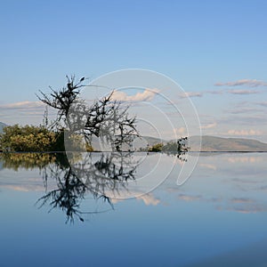 Reflection in swimming pool lake Manyara photo