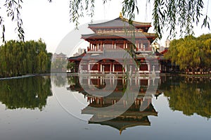 Reflection of the Tang Paradise Center at night, Xi`an, China