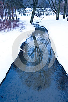 Reflection of tree in blue stream flowing througn snowy landscape