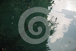 Reflection of tree and clouds in rippling water