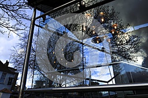 The reflection of a tree and sunset sky on glass of building