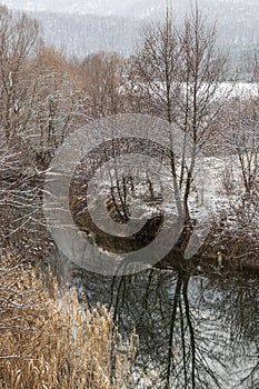 Reflection of a tree in the water of the Golyama Kamchia river