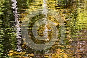 Reflection of trees on an autumn river