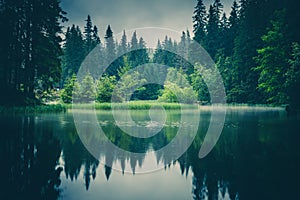 Reflection of trees in the forest lake with fog, Slovakia