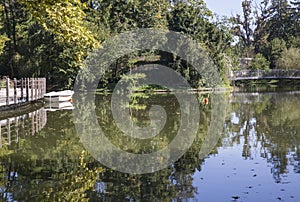 Reflection of the trees on the lake