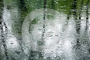 Reflection of trees into puddle on pavement