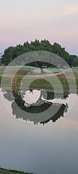 Reflection and trees photo
