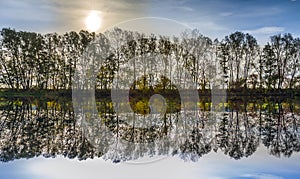 Reflection of trees in river tauber