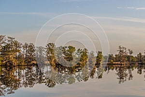 Reflection of trees on the South Carolina ICW at Thoroughfare Creek