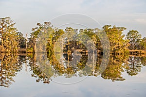 Reflection of trees on the South Carolina ICW at Thoroughfare Creek