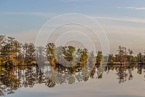 Reflection of trees on the South Carolina ICW at Thoroughfare Creek photo