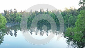 Reflection of trees in the water. Lake in the forest.