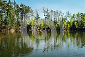 Reflection trees in water on swamped quarry, Czech republic