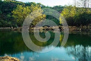 Reflection of two trees in a lake, la arboleda, basque country photo