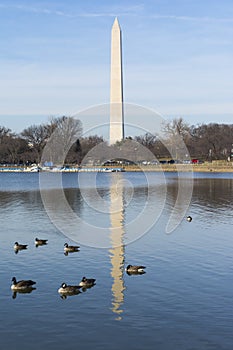 Reflection of Washington Monument Obelisk in Tidal Basin, Washington DC, USA
