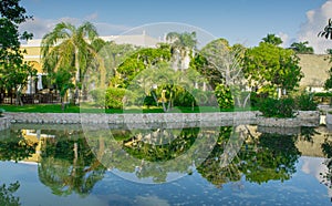 Reflection in the water of a lagoon of tropical vegetation