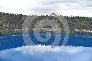 The reflection from water lake with bushland at Blue Lake is a large, monomictic, crater lake located in a dormant volcanic