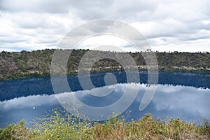 The reflection from water lake with bushland at Blue Lake is a large, monomictic, crater lake located in a dormant volcanic