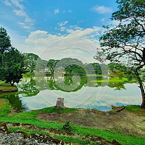 Reflection water like a mirror at Taiping lake garden