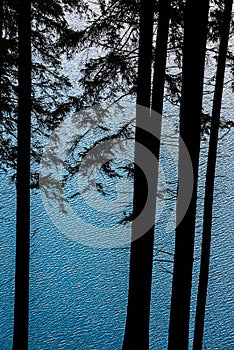 Reflection, water reflection, blue, mountains, pine tree.