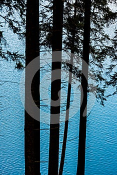 Reflection, water reflection, blue, mountains, pine tree.