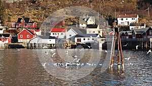 Reflection in the water. Snowy mountains, fishing village. Bright red houses on the ocean. Lofoten islands in Norway