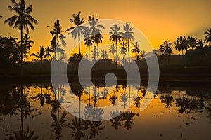 Reflection before sunrise