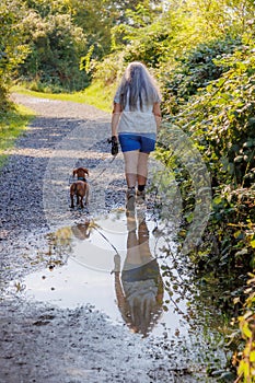 Reflection in water surface of a puddle, senior adult woman walking with her dog