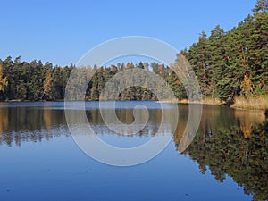 Reflection in the water with trees.Beautiful Lithuania nature .