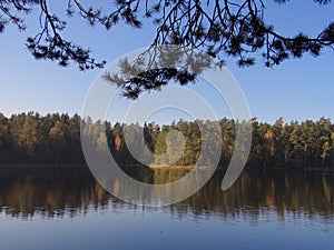 Reflection in the water with trees.Beautiful Lithuania nature .