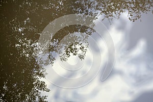 The reflection in the water of the trees growing on the banks. The sky reflected in the water.