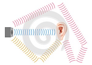 Reflection wave sound vector / echo and sonar concept