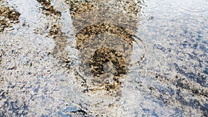 The reflection of the wet concrete floor during the raining in the rainy season.