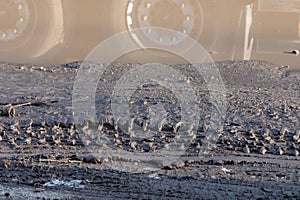 reflection of wheels in a puddle on off-road