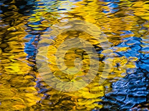 Reflection of yellow leaves