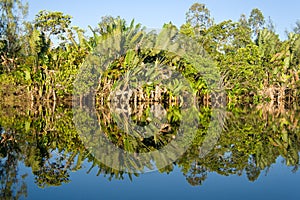 Reflections photo