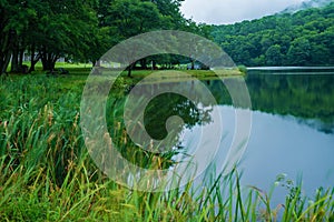 Reflections on Abbott Lake, Peaks of Otter