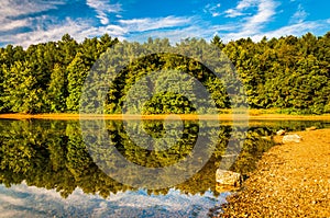 Reflections along the shore of Lake Marburg, Codorus State Park, Pennsylvania.