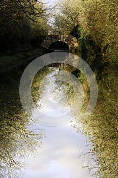 Reflections of arched bridge and winter trees in still waters