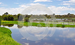 Reflections: Beelier Wetlands, Western Australia