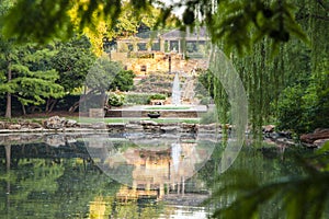 Reflections in botanical pond