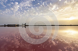 Reflections of buildings and palm trees in the red salt lakes of Salinas de San Pedro del Pintar, Murcia, Spain photo