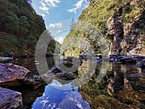 Reflections in a canyon at Karangahake gorge in afternoon in New Zealand