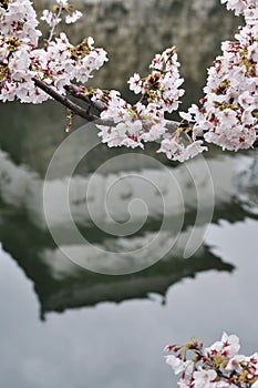 Reflections of a castle in Osaka