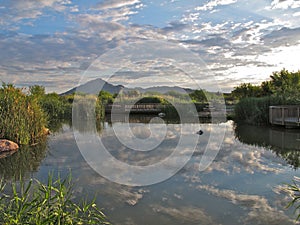 Reflections, Clark County Wetlands Park, Las Vegas, Nevada