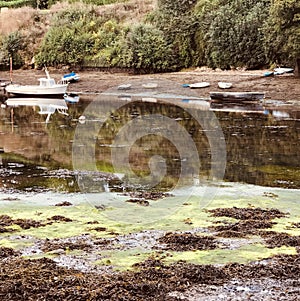 Reflections  in clear seawater at low tide in idyllic creek